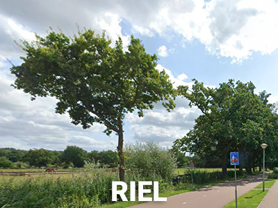 Riel